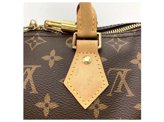 Borsa Louis Vuitton Speedy Bandoulière 25 Marrone Monogramma - vista 11