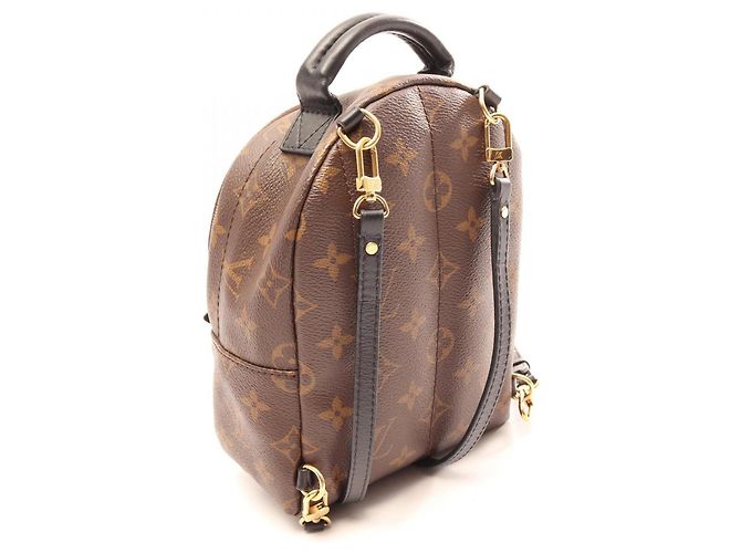 Mini zaino Louis Vuitton Palm Springs Marrone Nero - vista 2