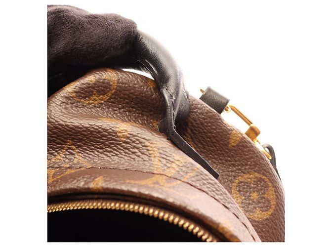 Mini zaino Louis Vuitton Palm Springs Marrone Nero - vista 8
