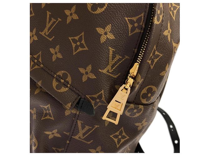 Zaino Louis Vuitton Monogram Palm Springs MM Marrone - vista 4