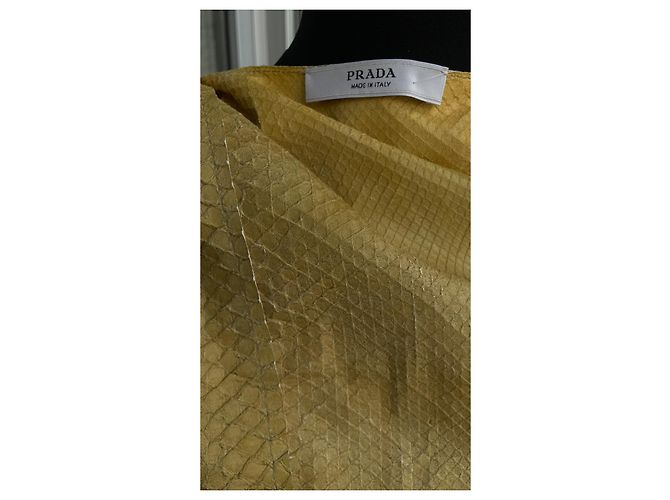 Bow Prada Jaqueta Moto Python Birmanês SS09 Verde Impressão em python Amarelo - vista 4