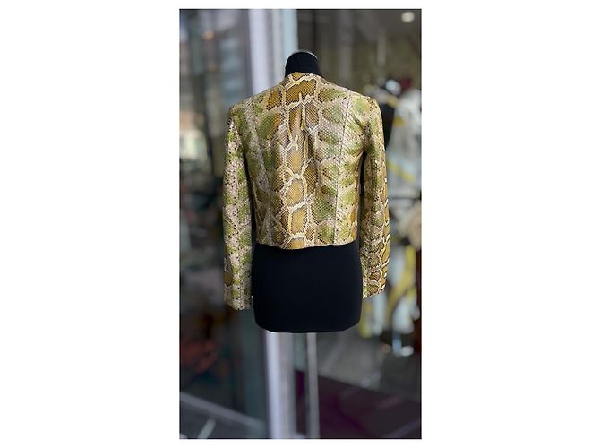 Bow Prada Jaqueta Moto Python Birmanês SS09 Verde Impressão em python Amarelo - vista 5
