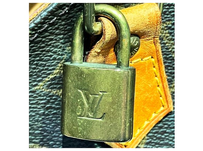 Borsa Louis Vuitton Ellipse PM Marrone Monogramma - vista 5