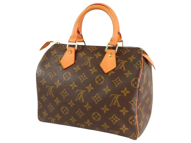 Louis Vuitton Marrone Monogram Speedy 25 - vista 2