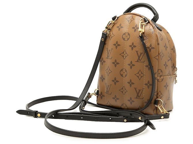 Louis Vuitton Marrone Monogram Reverse Mini Palm Springs - vista 2