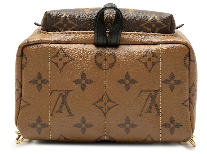 Louis Vuitton Marrone Monogram Reverse Mini Palm Springs - vista 3
