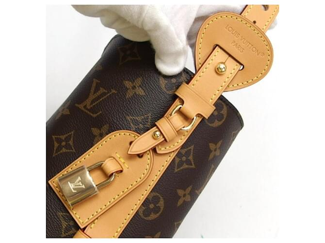 Bucket Borsa a secchiello Louis Vuitton Monogram All-in-BB Monogramma - vista 7