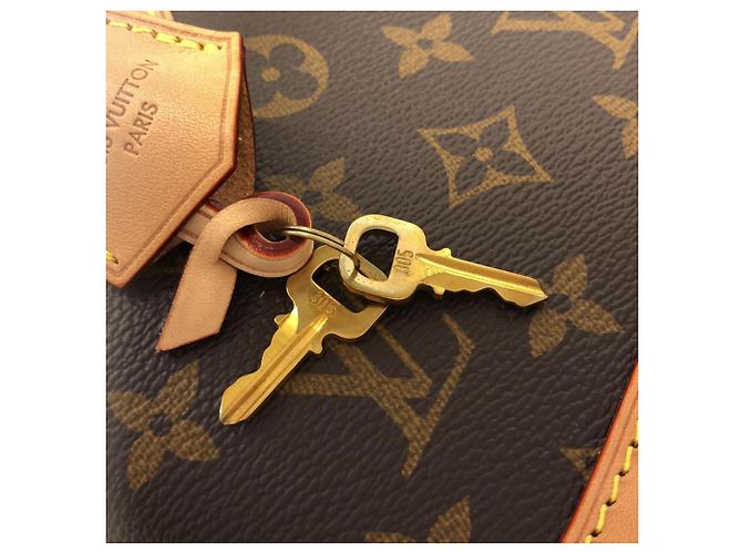 Borsa Louis Vuitton Monogram Alma BB Marrone - vista 5