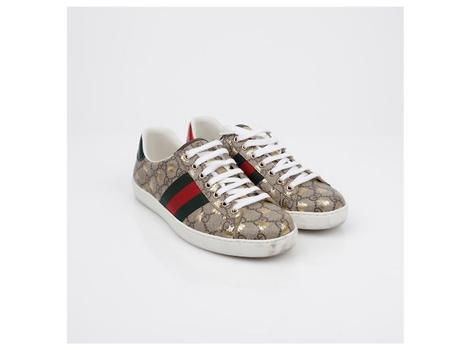 Gucci Sneakers Ace Bee Marrone - vista 2