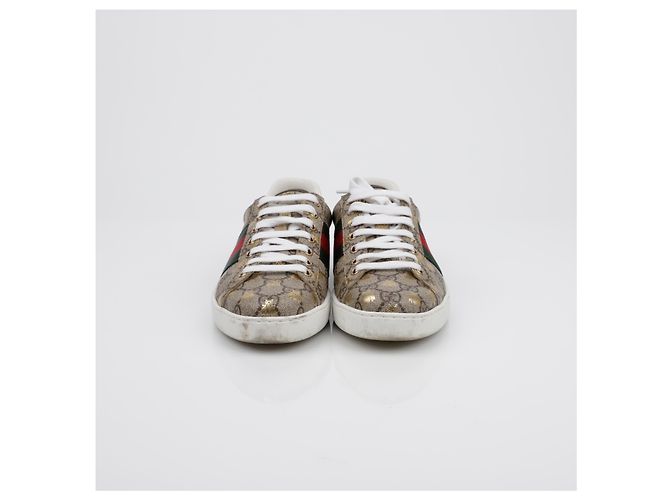 Gucci Sneakers Ace Bee Marrone - vista 3