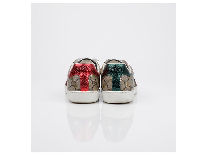 Gucci Sneakers Ace Bee Marrone - vista 4