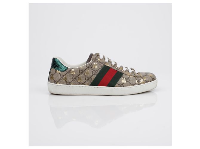 Gucci Sneakers Ace Bee Marrone - vista 5