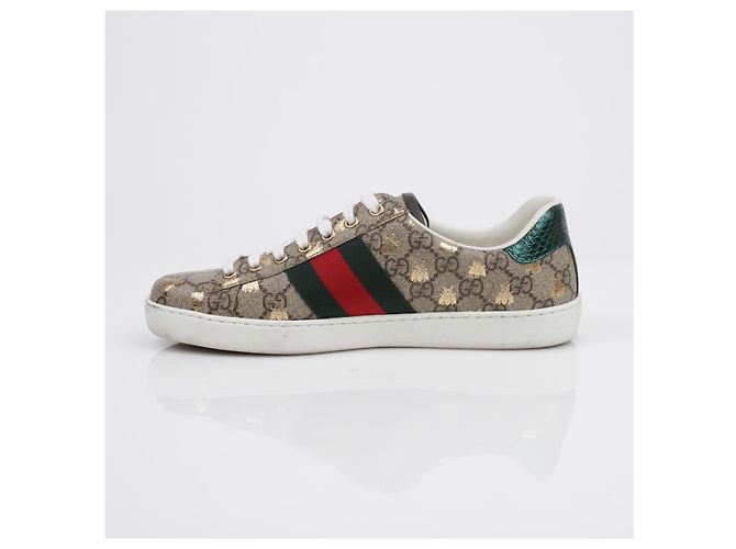 Gucci Sneakers Ace Bee Marrone - vista 7