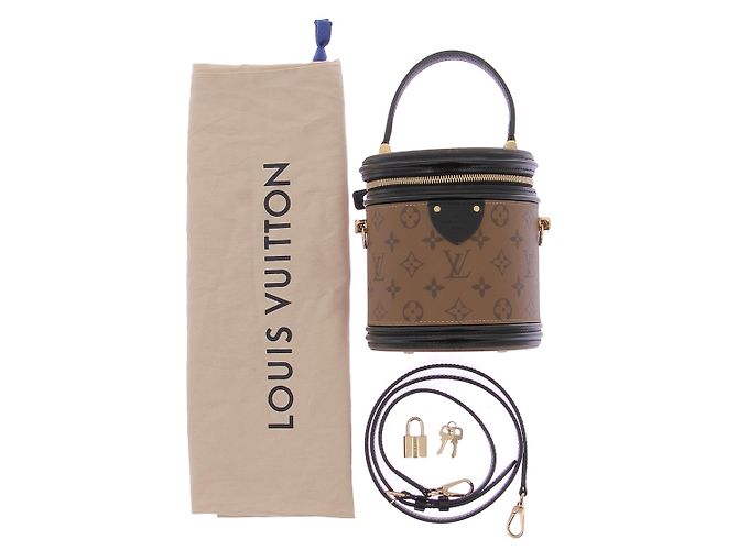 Louis Vuitton Borsa a mano Cannes in pelle Marrone - vista 8