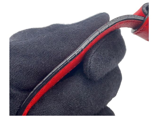 Borsa a mano in pelle Loewe Amazona 23 Rosso - vista 14