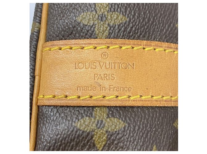 Keepall Borsa Boston marrone Louis Vuitton - vista 5