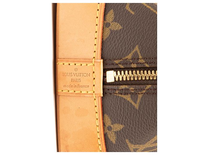 Louis Vuitton Marrone Monogram Alma PM - vista 5