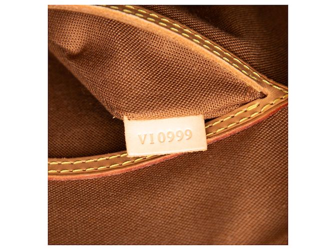Louis Vuitton Marrone Monogram Alma PM - vista 6