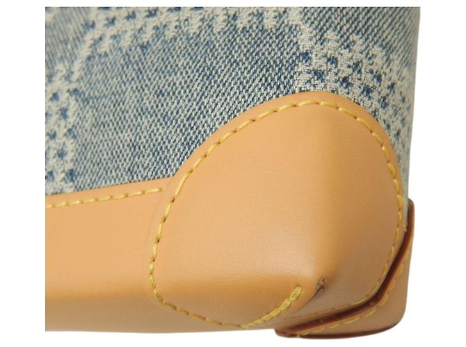 Louis Vuitton Blue Damier Denim 3D Nano Steamer - vista 16