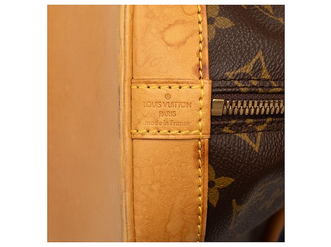 Louis Vuitton Marrone Monogram Alma PM - vista 6