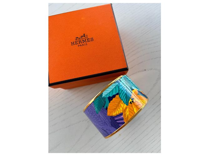 Trim Hermès Pulsera de Esmalte Ancha Colección Jungle Multicolor Dorado - vista 3