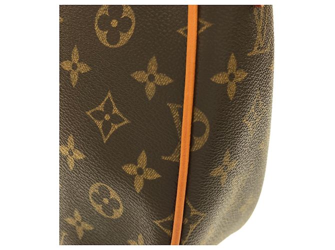 Borsa a Spalla Louis Vuitton Monogram Hudson GM Marrone - vista 5