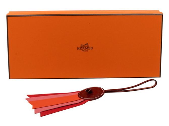 Hermès Hermes Paddock Flott Accessorio Portachiavi Multicolore - vista 4
