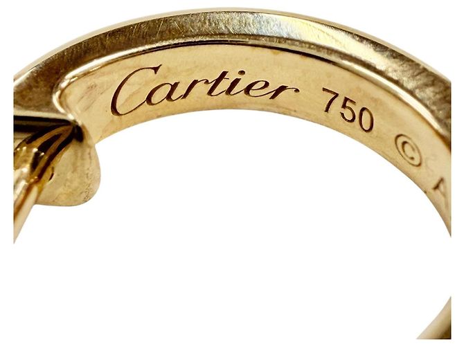 Orecchini Cartier AXN851 LOVE Mini Love D'oro - vista 8