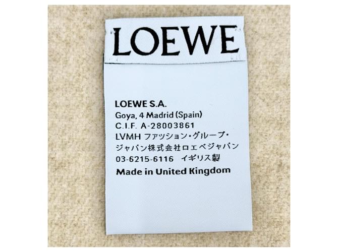 Stola in lana e cashmere Loewe Beige Crudo - vista 7