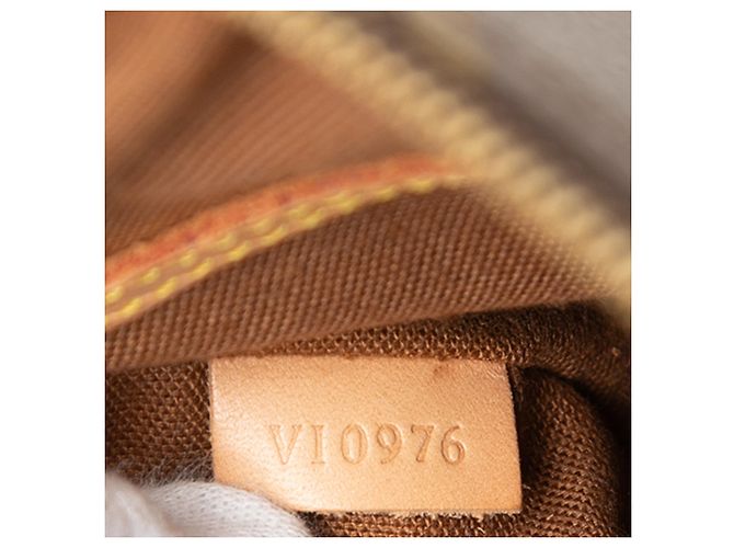 Louis Vuitton Marrone Monogram Alma PM - vista 6