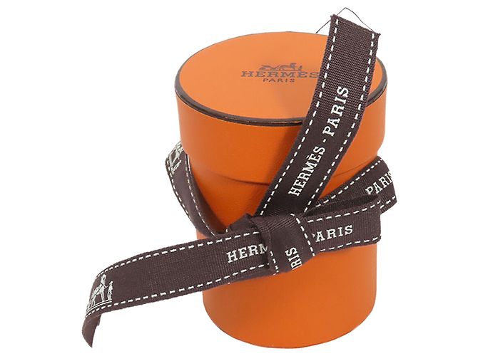 Foulard Twilly in seta blu Les Zebres Hermès - vista 8