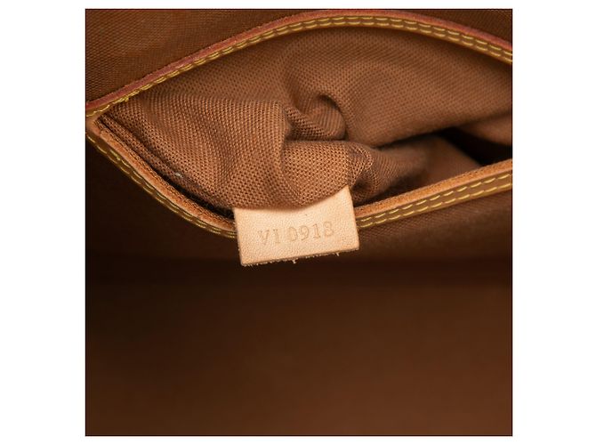 Louis Vuitton Marrone Monogram Alma PM - vista 6