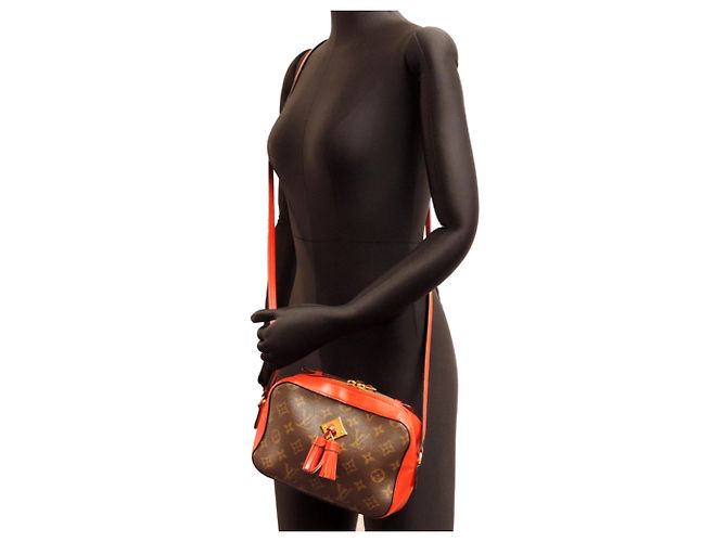 Bolsa de ombro feminino Louis Vuitton Saint-Onge Vermelho - vista 10