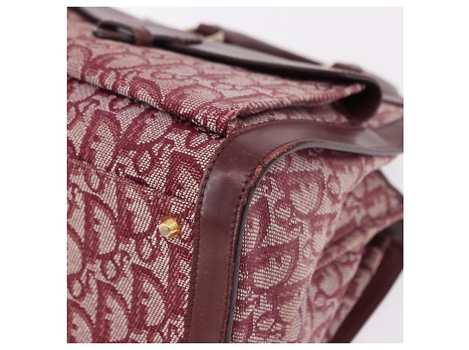Borsa Christian Dior Trotter Canvas Rossa Oro Autentica 191301V Rosso D'oro - vista 14