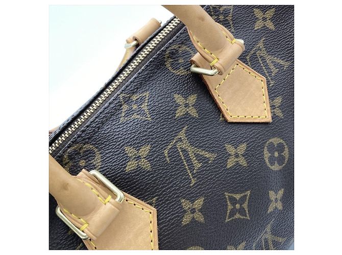 Borsa Louis Vuitton Speedy 25 Marrone Monogramma - vista 8