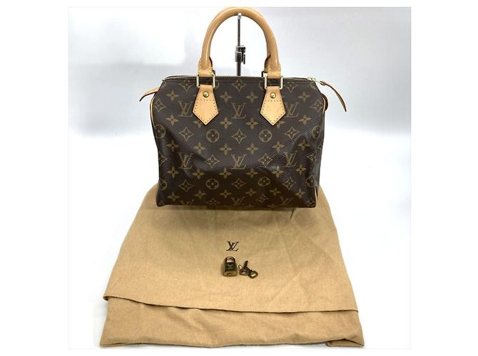 Borsa Louis Vuitton Speedy 25 Marrone Monogramma - vista 9
