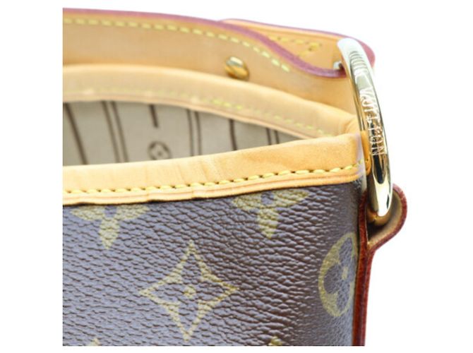 Borsa a Spalla Louis Vuitton Monogram Marron Delightful PM Marrone - vista 6