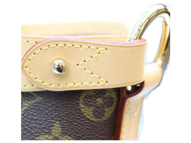 Borsa a Spalla Louis Vuitton Monogram Marron Delightful PM Marrone - vista 9