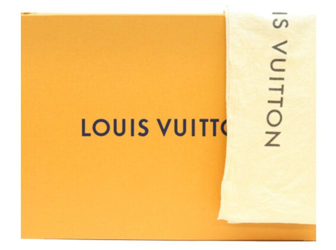 Borsa a tracolla Louis Vuitton Epi Quartz White Marellini Crudo - vista 17