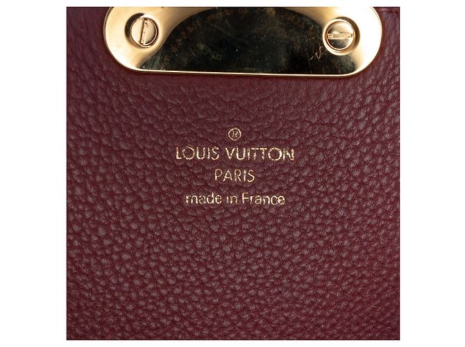 Louis Vuitton Marrone Monogram Eden MM - vista 5