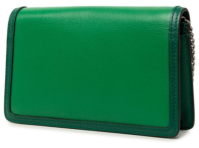 Gucci Green Mini Bicolor Leather Dionysus Crossbody Verde - vista 2