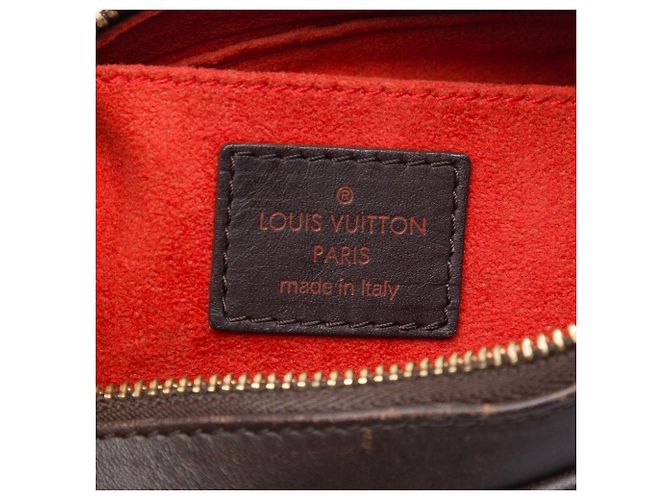 Louis Vuitton Marrone Damier Sauvage Tigre - vista 5