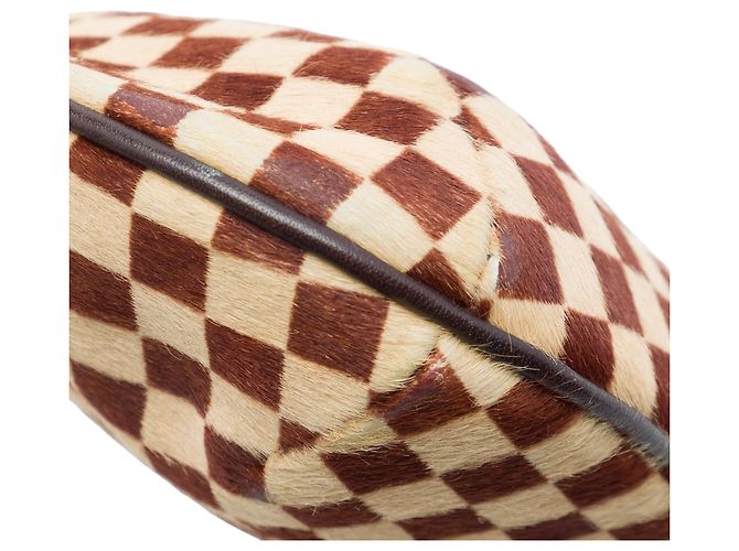 Louis Vuitton Marrone Damier Sauvage Tigre - vista 6