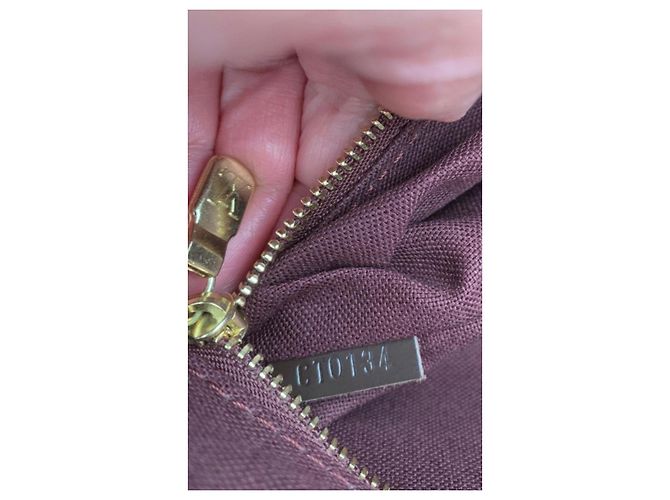 Louis Vuitton Borsa Tote Damier Ebene Marrone - vista 9