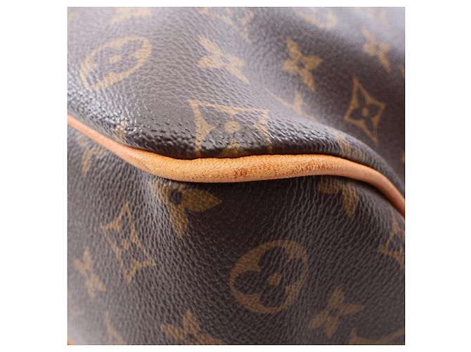 Borsa a Spalla Louis Vuitton Delightful PM Marrone - vista 5