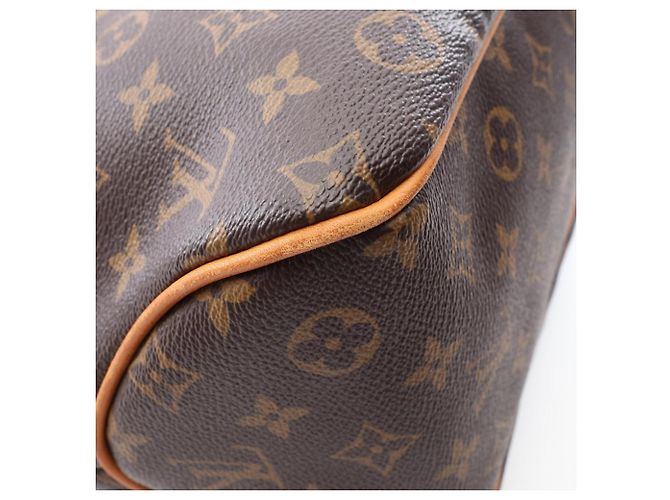 Borsa a Spalla Louis Vuitton Delightful PM Marrone - vista 6