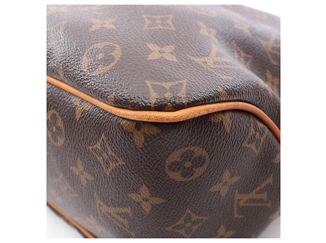 Borsa a Spalla Louis Vuitton Delightful PM Marrone - vista 7