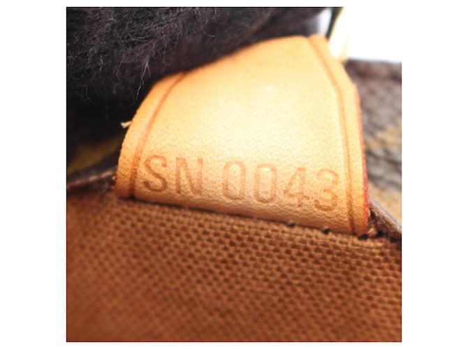 Borsa Louis Vuitton Vavin PM Marrone - vista 5