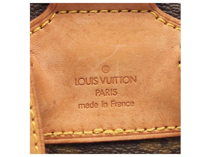 Louis Vuitton Montsouris MM Backpack/Handbag Brown - view 4