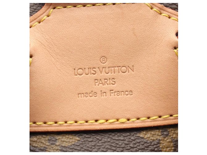 Mochila/Bolso Louis Vuitton Montsouris MM Castaño - vista 4